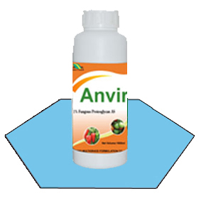 أنڤر Anvir