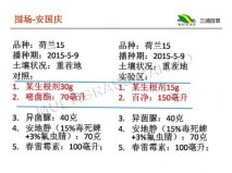 百净在河北围场种植户马铃薯实验